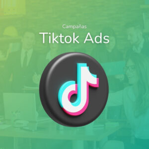 TikTok Ads